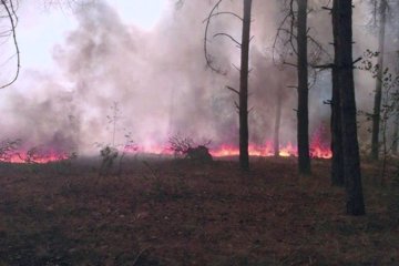 Пожар в Зоне отчуждения. Фото: Корреспондент.net