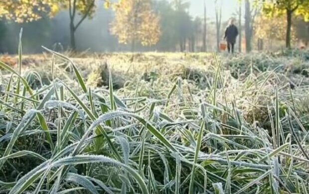 Заморозки. Фото: скриншот YouTube
