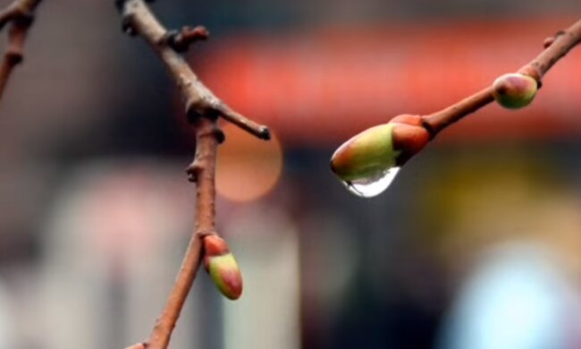 Різка зміна погоди: синоптики сказали, де на вихідних ще буде до +17, а де вже похолодання та дощі