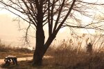 Погода в Украине. Фото: скриншот YouTube-видео