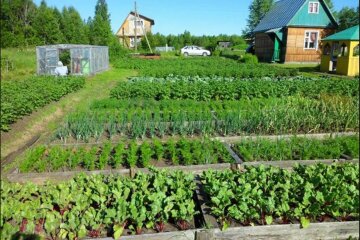 Город, земельна ділянка, українці. Фото: Telegram