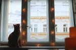 Гирлянда. Фото: YouTube