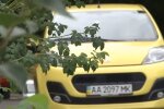 Автомобильные номера. Фото: Youtube