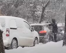 Снігопад в Україні. Фото: скріншот YouTube-відео