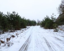 Далеко не прячьте теплые шапки: морозы вернутся в Украину через пару дней, где будет холоднее всего