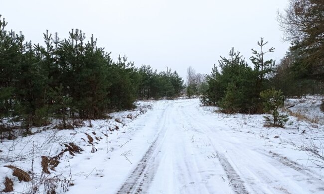 Далеко не прячьте теплые шапки: морозы вернутся в Украину через пару дней, где будет холоднее всего