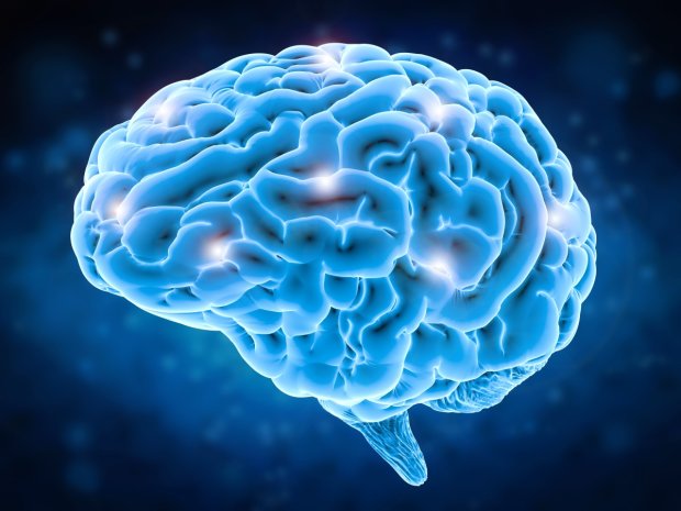 Нейробиологи поразили своим исследованием: стало известно, при каких обстоятельствах мозг работает на полную