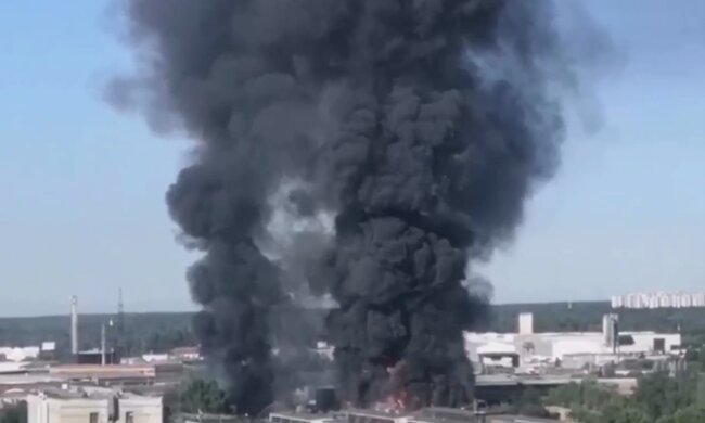 Пожар в подмосковье. Фото: скриншот Телеграм