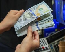 Доллар, курс валют, НБУ, Минфин. Фото: Telegram