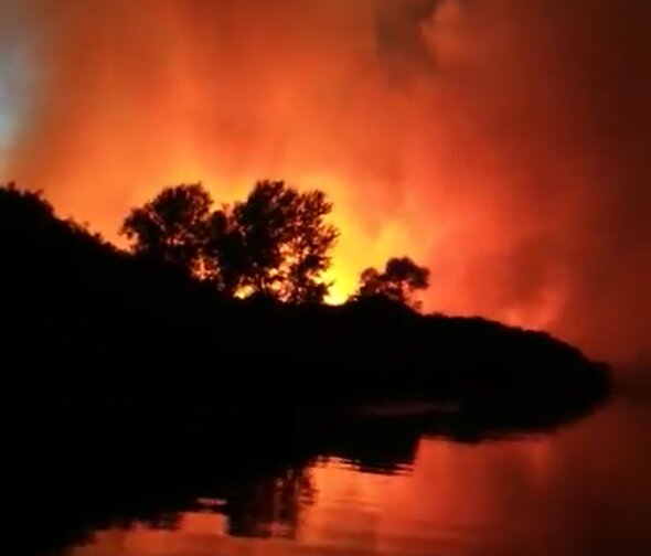 Пожар камыша в Херсонской области. Фото: скрин youtube