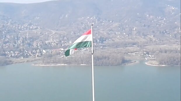 Флаг Венгрии. Фото: Youtube