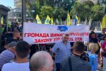 Протесты в разгаре: под Верховной Радой штормят депутатов, требуют подписать закон