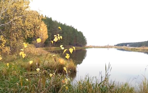 Природа восени. Фото: скріншот YouTube-відео