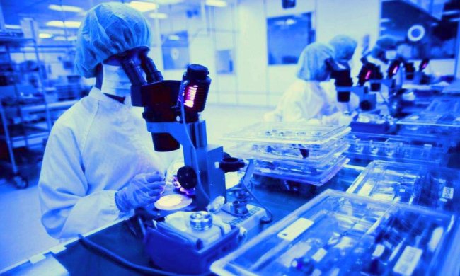 В лаборатории. Фото: Trend