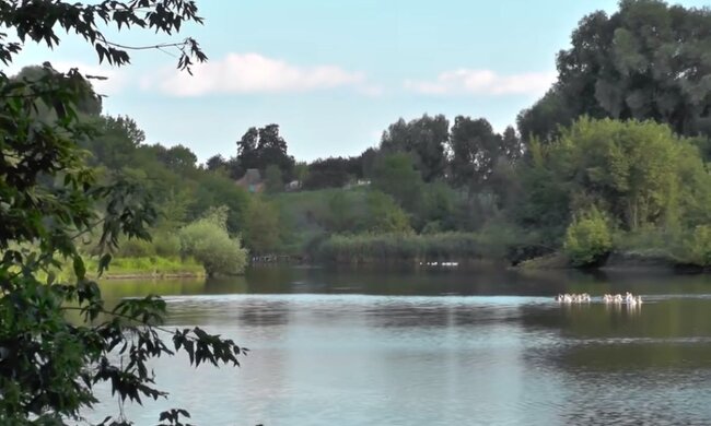 Природа. Фото: скриншот YouTube-видео