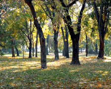 Погода в Україні. Фото: скріншот YouTube-відео.