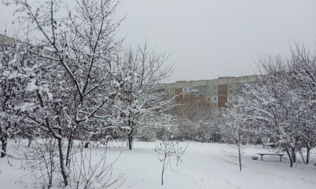 Погода в Украине. Фото: "Стена"