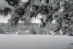 Природа. Фото: скриншот YouTube-видео
