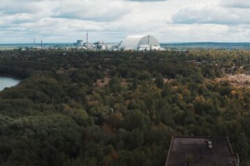 Чернобыльский сезон: из зоны ЧАЭС везут десятки килограмм ягод на продажу – от радиации начнете светиться