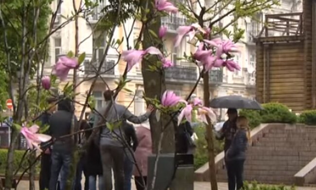 Дождь. Фото: скриншот YouTube-видео