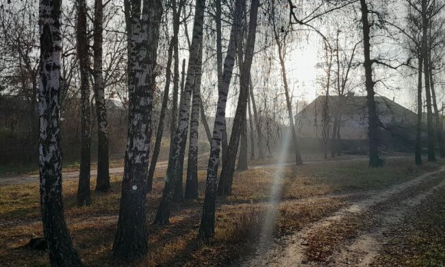 Всего от +1: синоптики срочно уточнили прогноз погоды на субботу