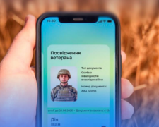Ветеран війни: Кабмін змінює правила, як давати статус: Фото: ТГ Юлії Свириденко