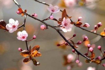 Погода весной. Фото: Дело