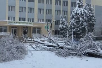 Зима. Фото: скриншот Youtube-видео