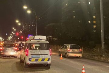 Полиция на дороге. Фото: Патрульная полиция