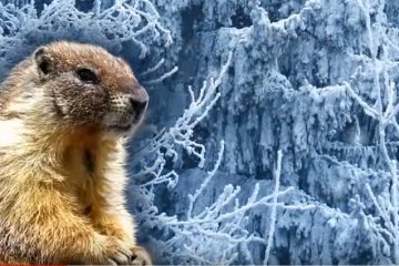 Праздники на 2 февраля 2020 года