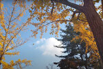 Погода в Украине. Фото: скриншот YouTube-видео.