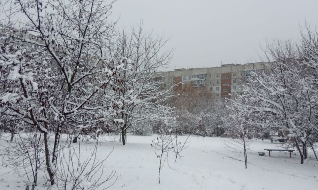 Синоптики поделились прогнозом на декабрь. Фото: Стена