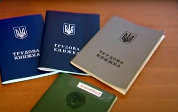 Трудовая книжка. Фото: скриншот YouTube-видео.