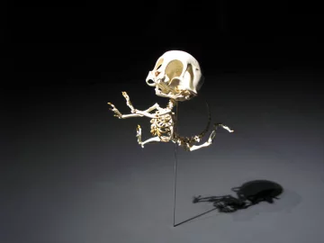 Mus Animatus