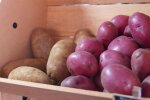 Этого еще не хватало: картошка начала резко дорожать, что будет дальше