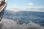 Эклогическая катастрофа. Фото: скриншот YouTube