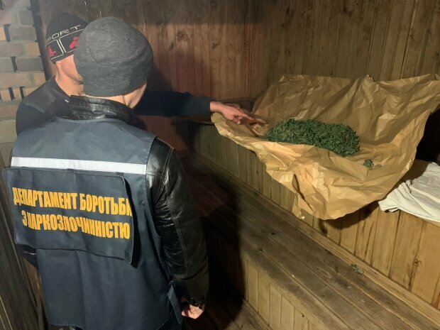 Изъяли более 10 кг "дури": на Полтавщине разоблачили банду наркодилеров
