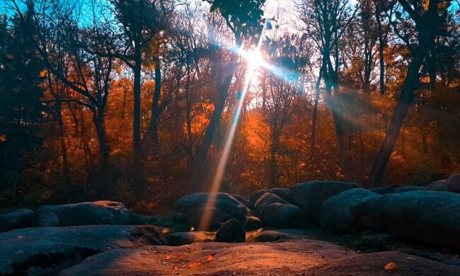 Природа. Фото: YouTube, скрін