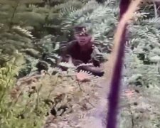 Боевик копает траншею к позициям ООС. Фото: скрин youtube