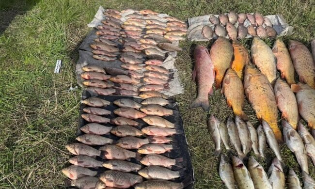 Аж до 15 червня рибалка заборонена: штрафи від 2686 грн за одну рибу — подробиці