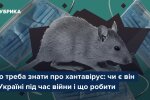Хантавірус — вірус, що переноситься гризунами