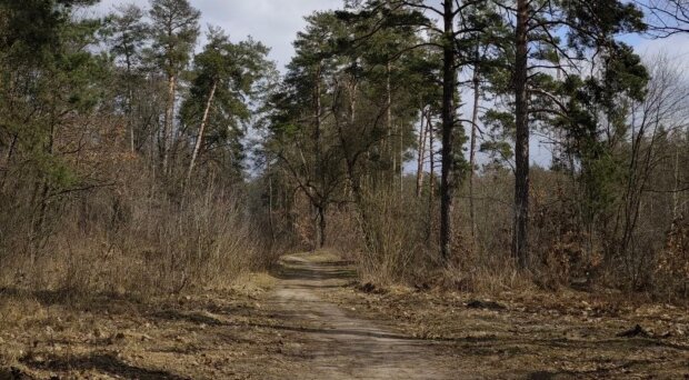 Весна. Погода. Фото Стіни