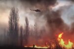 Пожар на россии. Фото: YouTube, скрин