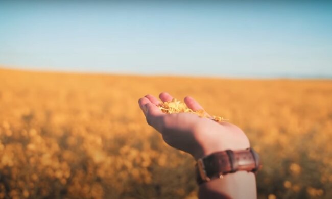 Природа. Фото: YouTube, скрін