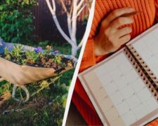 Місячний календар городника на червень — сприятливі дні для посіву