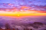 Природа. Фото: скриншот YouTube-видео