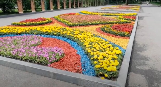Берут количеством: в Харькове горсовет отчитался о высадке миллиона цветов