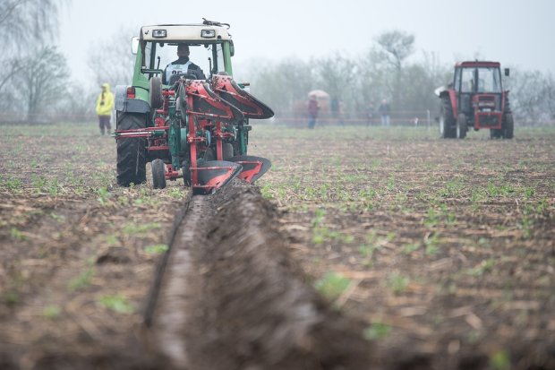 Пока всю не продали: как украинцам получить свои 2 гектара до открытия рынка земли