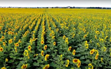 Землі України. Фото: скріншот Youtube-відео