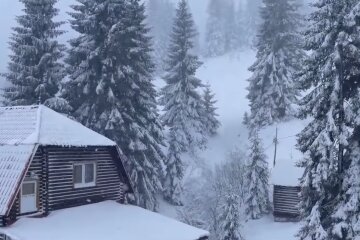 Снегопад. Фото: скриншот YouTube-видео